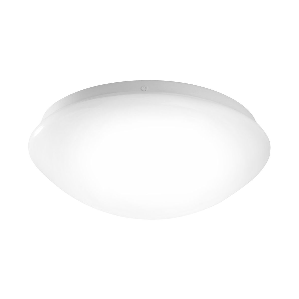 Paul Neuhaus-ANDREA-LED-14243-16-PLN14243-16