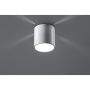 Sollux INEZ SL.0355 Повърхностно светило 1x40W/G9