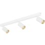 TK Lighting AMIS 10796 Спот 3x10W/GU10 IP20