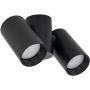 TK Lighting AMIS 10974 Таванна лампа 2x10W/GU10 IP20