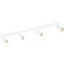 TK Lighting AMIS 10797 Спот 4x10W/GU10 IP20