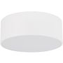 TK Lighting LIVO 10983 Таванен светилник 2x15W/E27 IP54