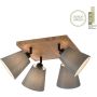 Paul Neuhaus GREEN MICHEL 11583-79 Спот 4x40W/E27 ip20
