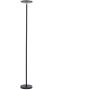 Paul Neuhaus HANS 11729-18 Стойка лампа 1x27W/LED 3000k 2500lm ip20