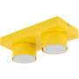 TK Lighting BRIX 11289 Таванна лампа 2x11W/gx53 IP20