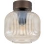 TK Lighting SALVIA 11358 Таванна лампа