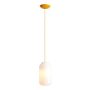 Aldex FLASK MIMOSA M 8500G21_M Висяща лампа 1x15W/E27