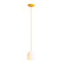 Aldex FLASK MIMOSA S 8500G21_S Висяща лампа 1x10W/E14