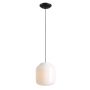 Aldex FLASK ORCHID L 8500G1_L Висяща лампа 1x15W/E27