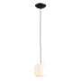 Aldex FLASK ORCHID S 8500G1_S Висяща лампа 1x10W/E14