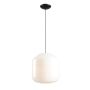 Aldex FLASK ORCHID XL 8500G1_XL Висяща лампа 3x15W/E27