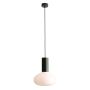 Aldex FLO MOSS M 7000G26_M Висяща лампа 1x10W/E14
