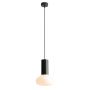 Aldex FLO MOSS S 7000G26_S Висяща лампа 1x10W/E14