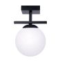 Zuma Line GLOBE 1210 Таванна лампа 1x10W/E14 IP20