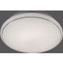 Paul Neuhaus LOLASMART-JUPI 14744-16 Таванен светилник 1x40W/LED 2700-5000k 4200lm ip20