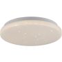 Paul Neuhaus URANUS 14275-16VE Таванен светилник 1x12W/LED 3000k 1375lm ip20