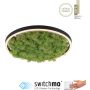 Paul Neuhaus GREEN RITUS 15391-66 Таванна лампа 1x20W/LED 3000k 630lm ip20