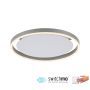Paul Neuhaus RITUS 15391-95 Таванен светилник 1x20W/LED 3000K 900LM IP20
