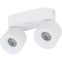 TK Lighting SPARK 18171 Спот 2x10W/LED 3000/4000/6000 K 965lm IP20