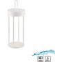 Paul Neuhaus ANSELM 19300-16 Масичка лампа 1x1,5W/LED 2700k 130lm ip44
