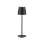 Paul Neuhaus BOTERIA 19251-18 Масичка лампа 1x2,5W/LED 3000K 180lm IP20