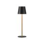 Paul Neuhaus EURIA 19250-68 Масичка лампа 1x2,5W/LED 3000K 180lm IP20