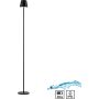 Paul Neuhaus EURIA 19252-18 Стойка лампа 1x2,5W/LED 3000k 320lm ip54