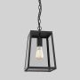 Astro Lighting CALVI 1306013 Висяща лампа 1x60W/E27 IP44
