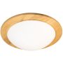 Fischer&Honsel SHINE-WOOD 21489 Таванна лампа 2x40w/e27 ip20