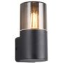 Trio HOOSIC 224060132 Светильник за стена 1x28w/e27 ip44