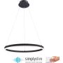 Paul Neuhaus TITUS 2382-13 Висяща лампа 1x44W/LED ip20
