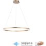Paul Neuhaus TITUS 2383-60 Висяща лампа 1x60W/LED 3000k 6600lm ip20