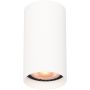 Italux Lopus CLN-48930-S-WH Повърхностно светило 1x10W/GU10 IP20