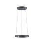 Paul Neuhaus PURE E-CLIPSE 2560-15 Висяща лампа 2x20W/LED 2700K-5000K 1000lm IP20