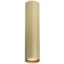 Italux Rilok CLN-83920-L-GD Повърхностно светило 1x10W/GU10 IP20