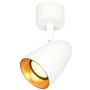 Italux Tino SPL-36748-1R-WH-GD Спот 1x10W/GU10 IP20