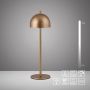Paul Neuhaus BELLIS 19244-12 Масичка лампа 1x2,5W/LED 3000k 210lm ip54