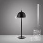 Paul Neuhaus BELLIS 19244-18 Масичка лампа 1x2,5W/LED 3000k 189lm ip54