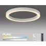 Paul Neuhaus PURE LINES ROUND 6309-16 Таванна лампа 1x30W/LED 2200-5000k 3300lm ip20