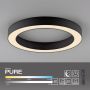 Paul Neuhaus PURE LINES ROUND 6310-13 Таванна лампа 1x21W/LED 2200-5000k 1600lm ip20