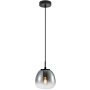 Italux Antita PND-3650-1S-BK-CSG Висяща лампа 1x40W/LED IP20