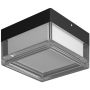 Italux Nefis PLF-53628-BK Таванна лампа 1x9W/LED IP65