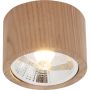 Zuma Line OAK 3010103 Повърхностно светило 1x15W/GU10 Es111 IP20