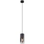 Trio ROBIN 310600132 Висяща лампа 1x28w/e27 ip20