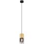 Trio ROBIN 310600154 Висяща лампа 1x28w/e27 ip20