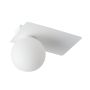 Sigma Lighting ARGON 33272 Таванен светилник 1x12W/G9
