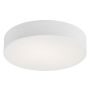 Argon DARLINGED 3568 Таванен светилник 1x42W/LED 3000K 5380LM IP20