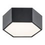 Argon ARIZONA 3824 Таванен светилник 1x9W/LED 3000K 1150LM IP20