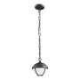 Prezent NEBRASKA 39018 Висяща лампа 1x7W/LED 600lm IP44