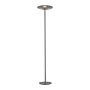 Paul Neuhaus PURE VITRUM 481-15 Стойка лампа 2x14,2W/LED 2700K 500lm IP20